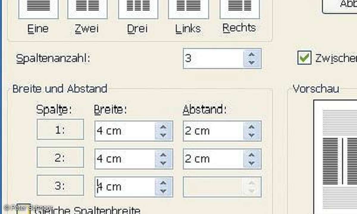 Desktop Publishing mit Word
