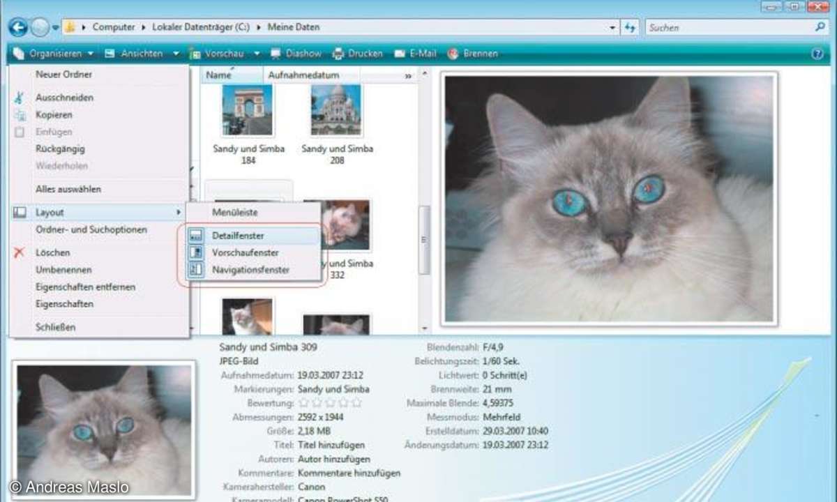 Foto-Management mit Windows Vista