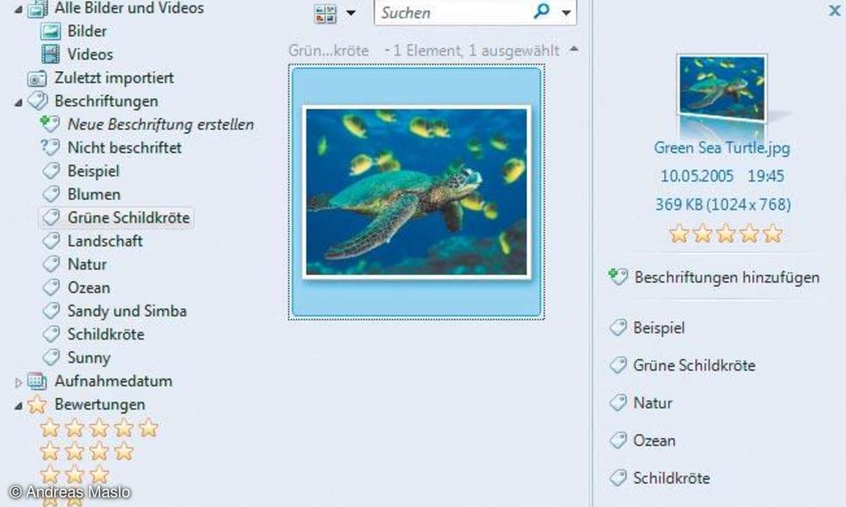 Foto-Management mit Windows Vista