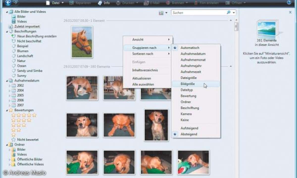 Foto-Management mit Windows Vista