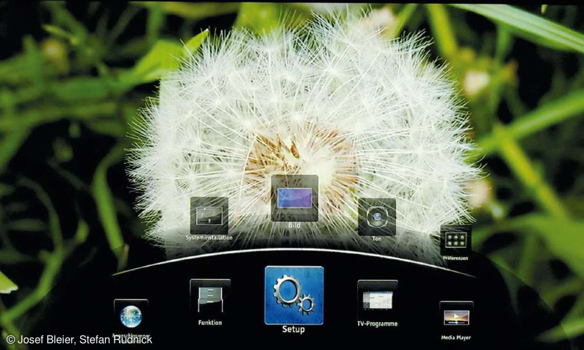 Toshiba 55ZL2G, fernseher, home entertainment