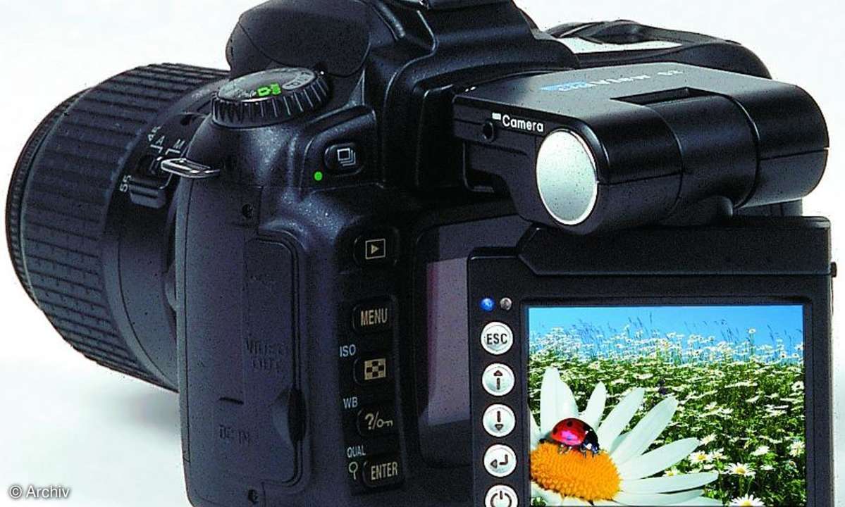 Fotografieren aus der Froschperspektive