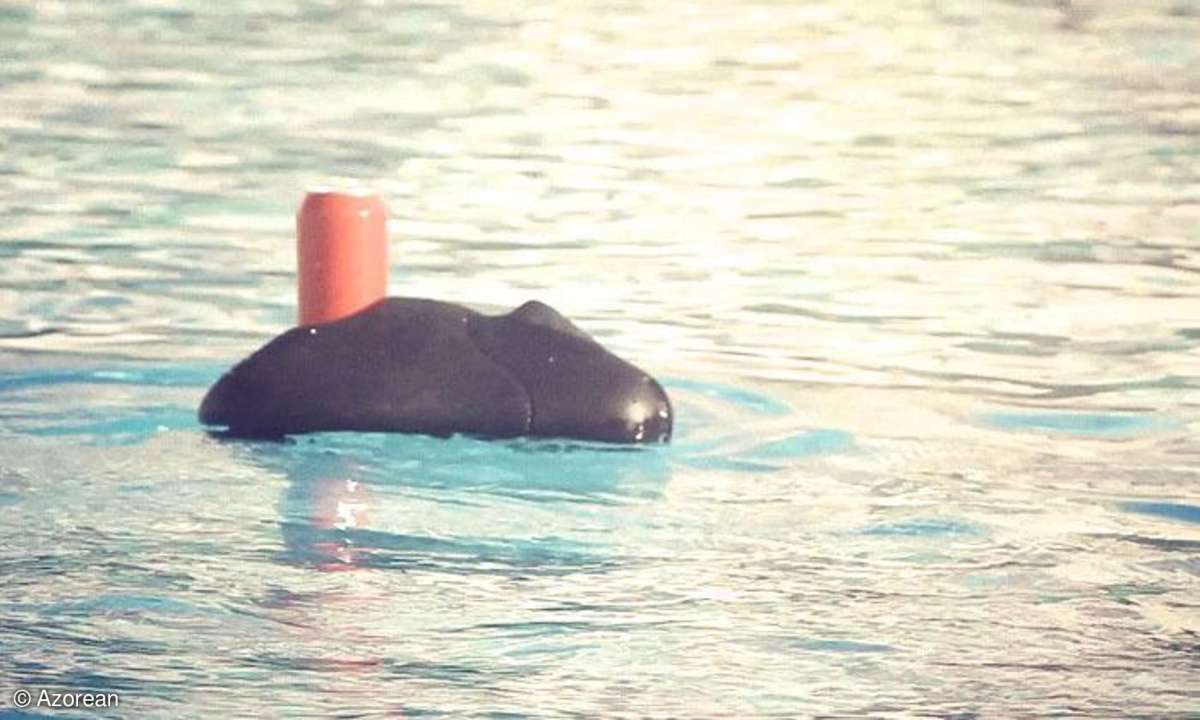 Azorean Ziphius Drohne Kickstarter