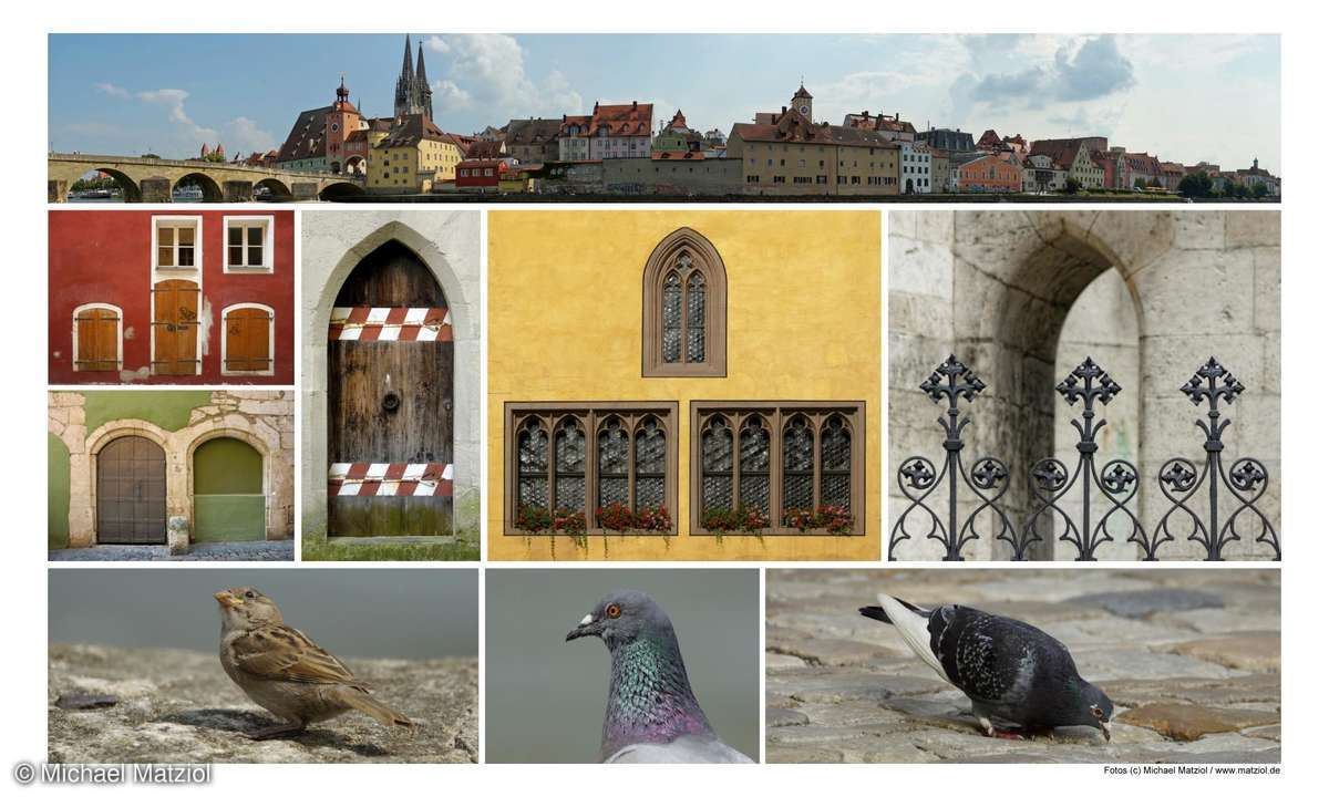 Michael Matziol Foto-Workshop Regensburg