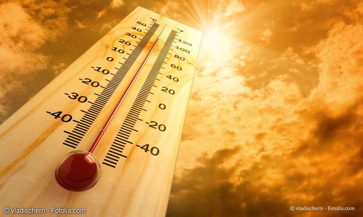 Thermometer