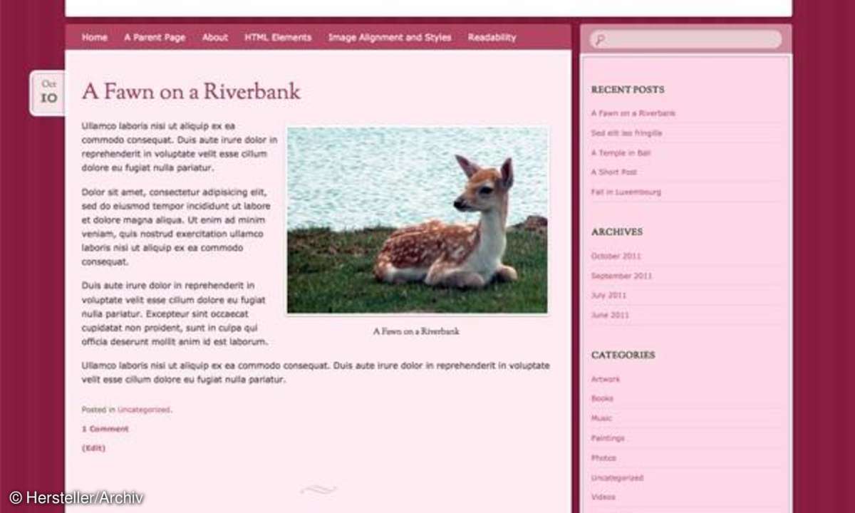 Bouquet Wordpress Theme