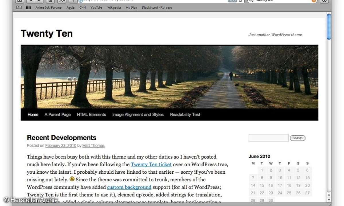 Twenty Ten Theme Wordpress