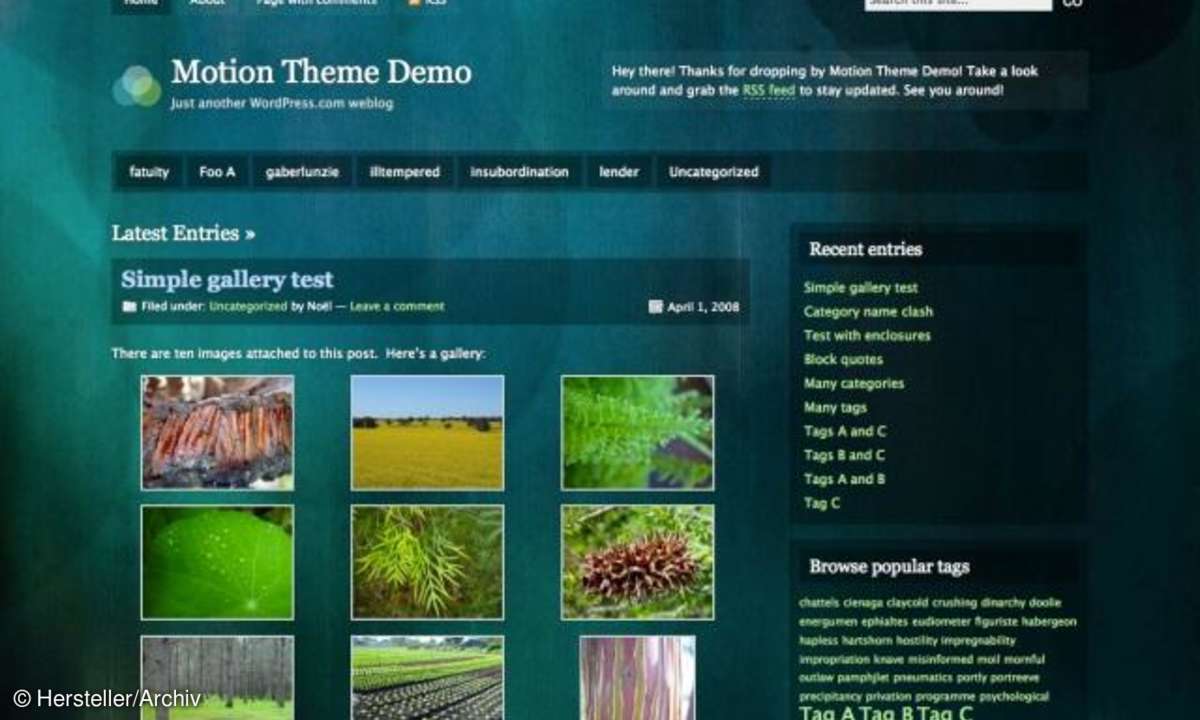 Motion Wordpress Theme