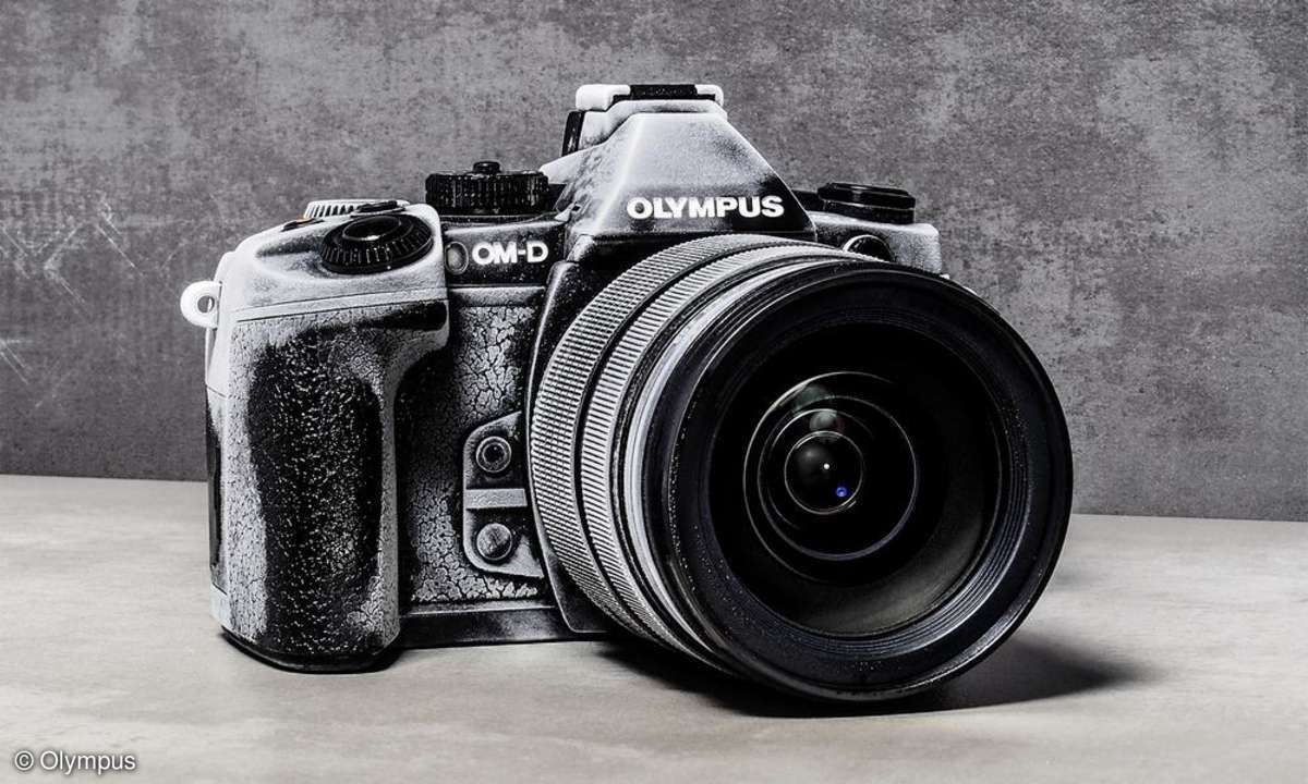 Olympus OM-D E-M1 - Galeriebild