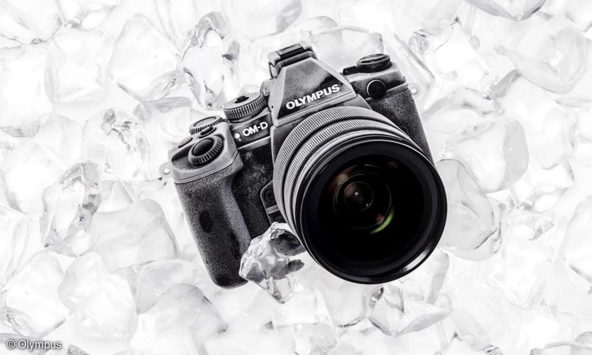 Olympus OM-D E-M1 - Galeriebild