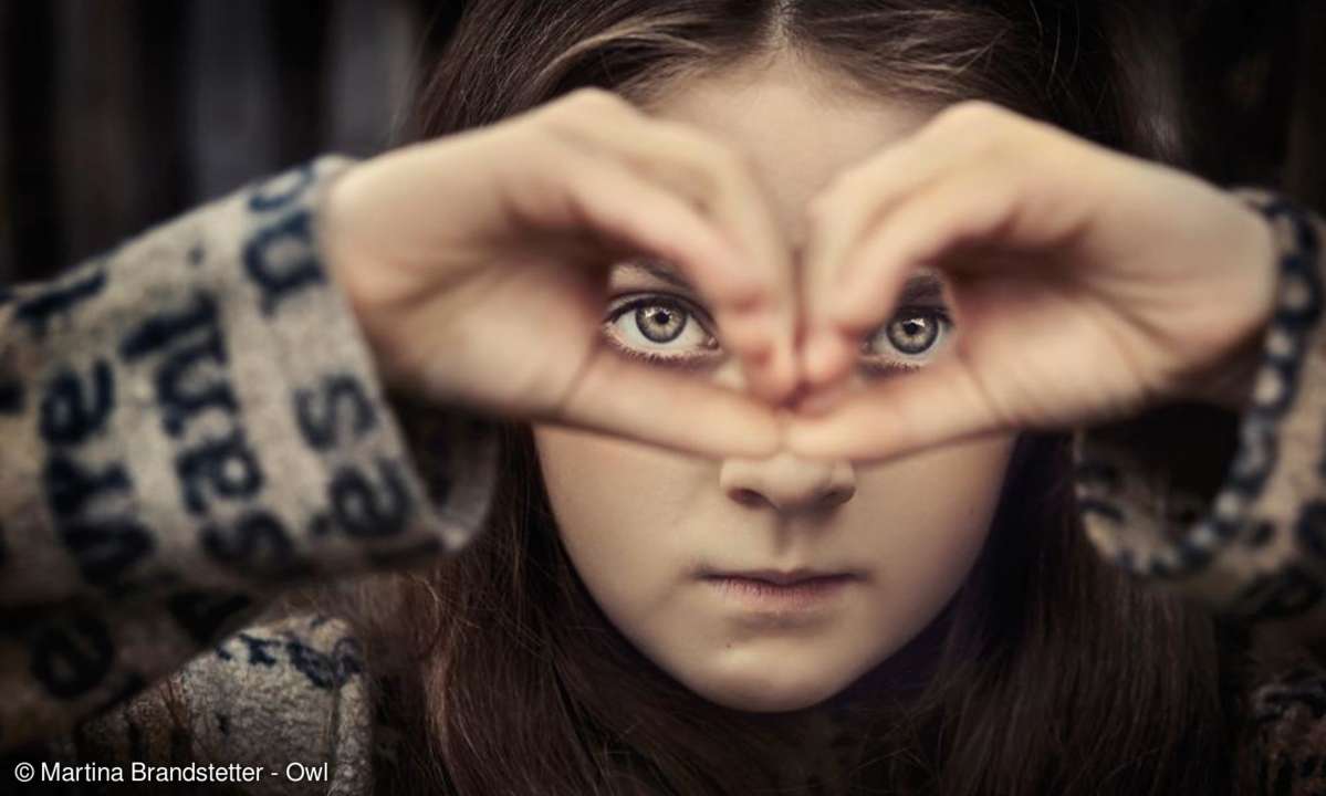 Martina Brandstetter - Owl