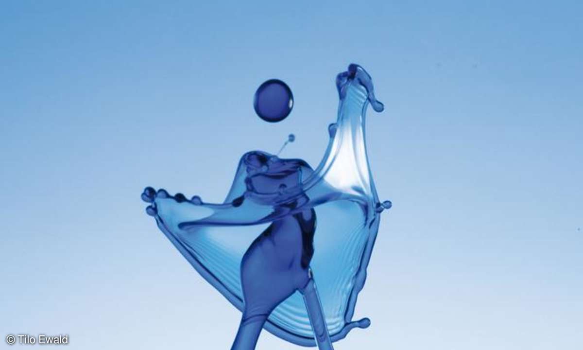 Tilo Ewald - Lady in Blue