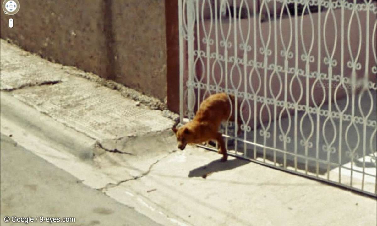 image.jpg