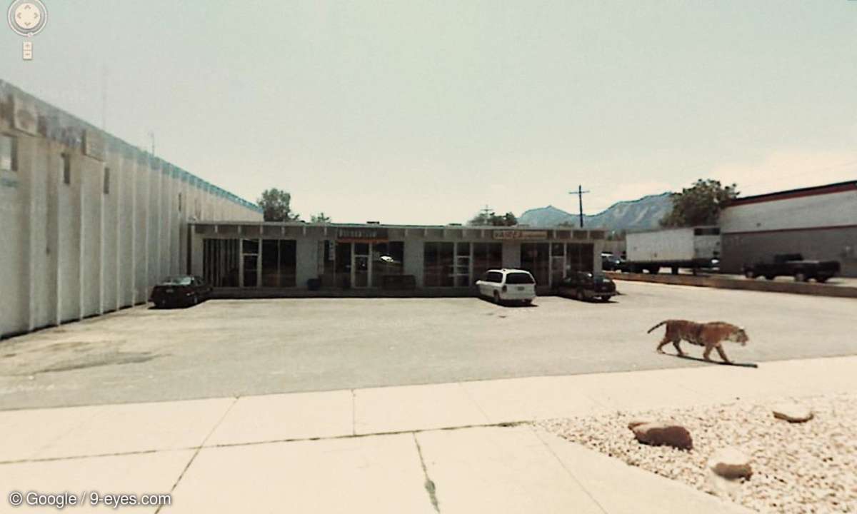 image.jpg