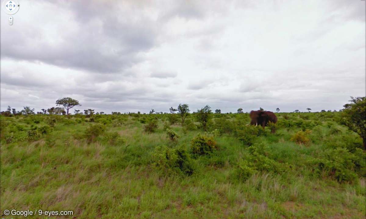 Google street View