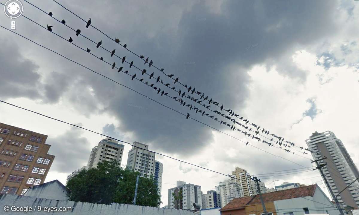 Google street View