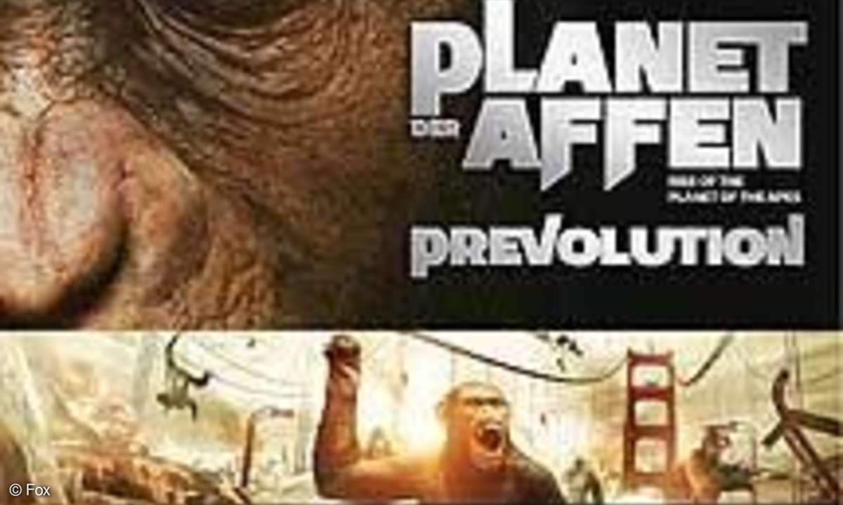 Wild geworden: Auf Blu-ray Disc sehen die Primaten in
