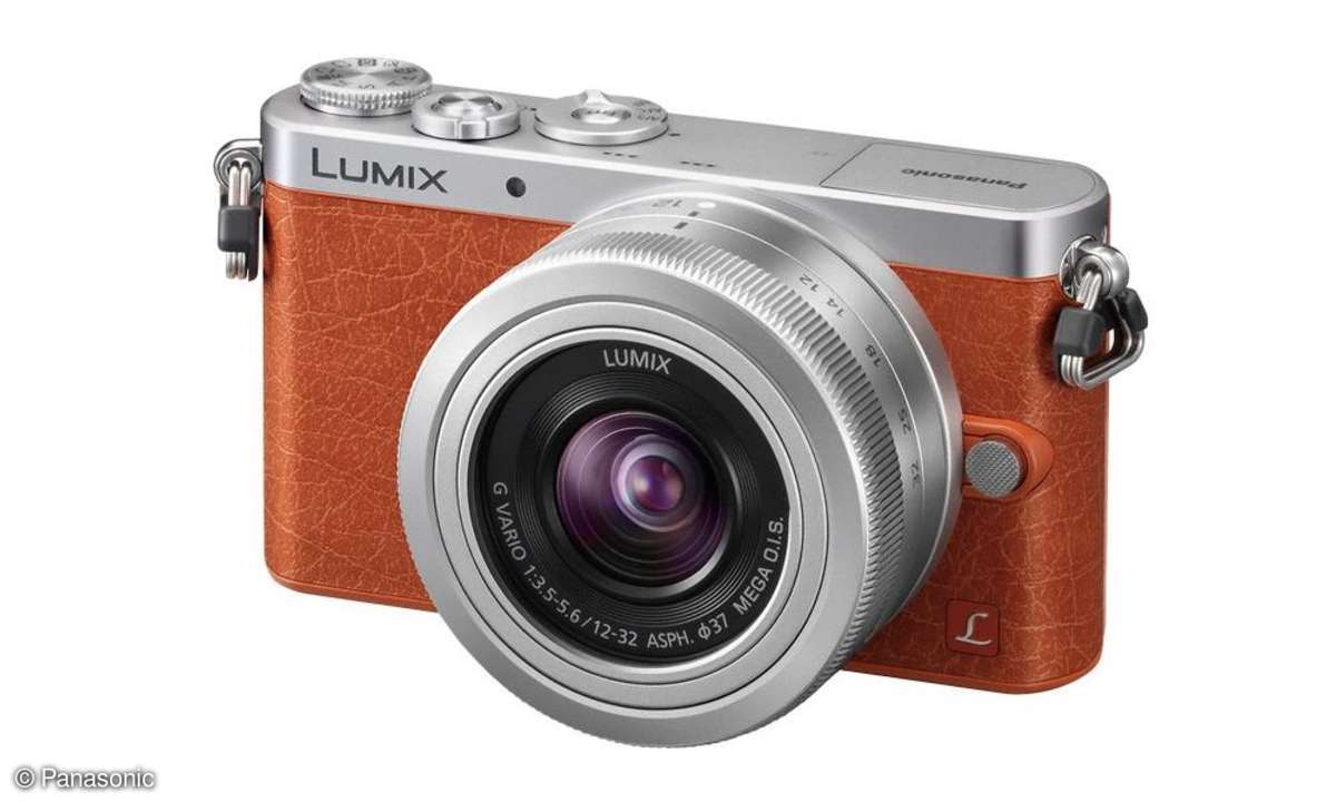 Panasonic Lumix GM1 - braune Variante