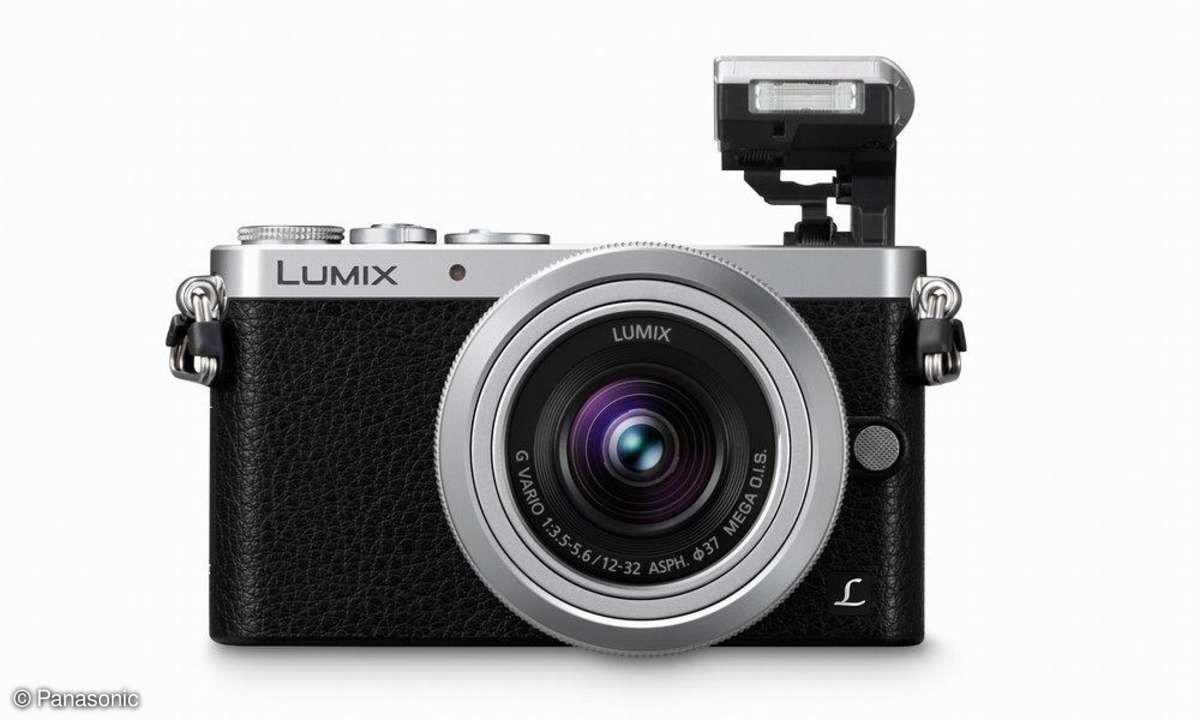 Panasonic Lumix GM1 - Blitz