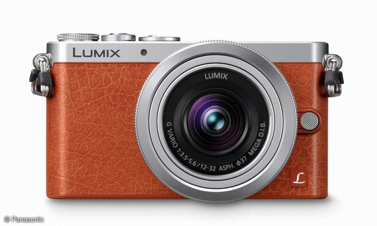 Panasonic Lumix GM1 - braun vorne