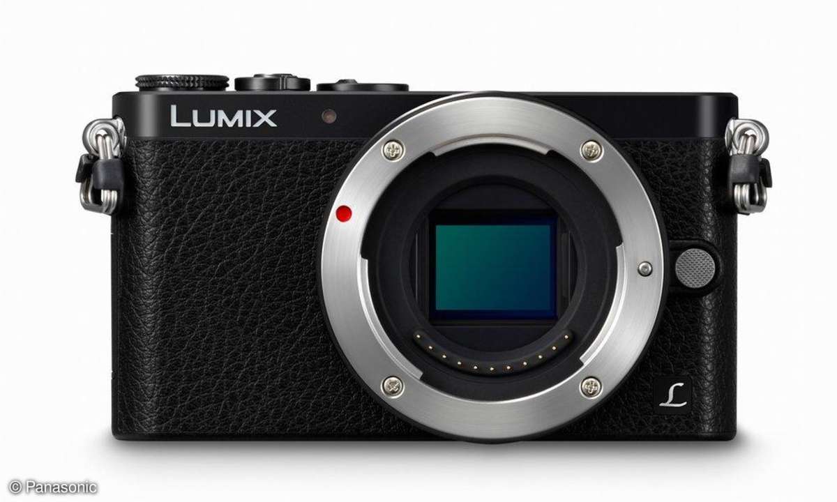 Panasonic Lumix GM1 - Sensor