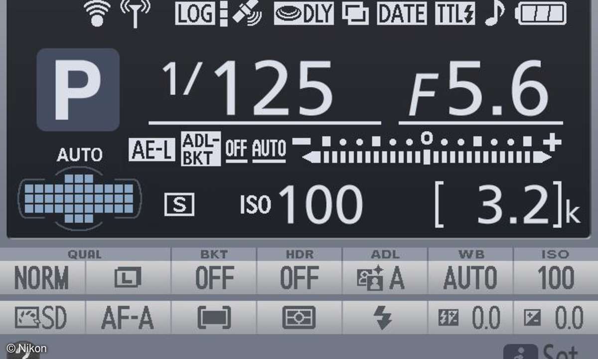 Nikon D5300 - LCD Info