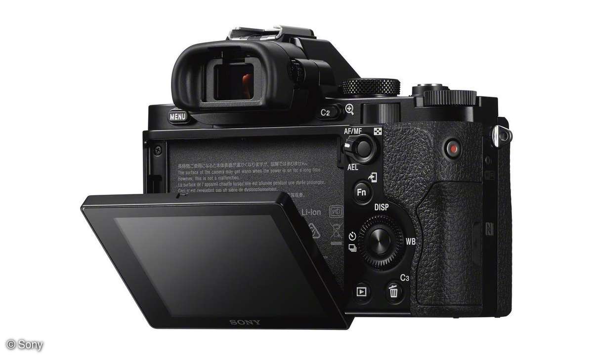 Sony A7 Display