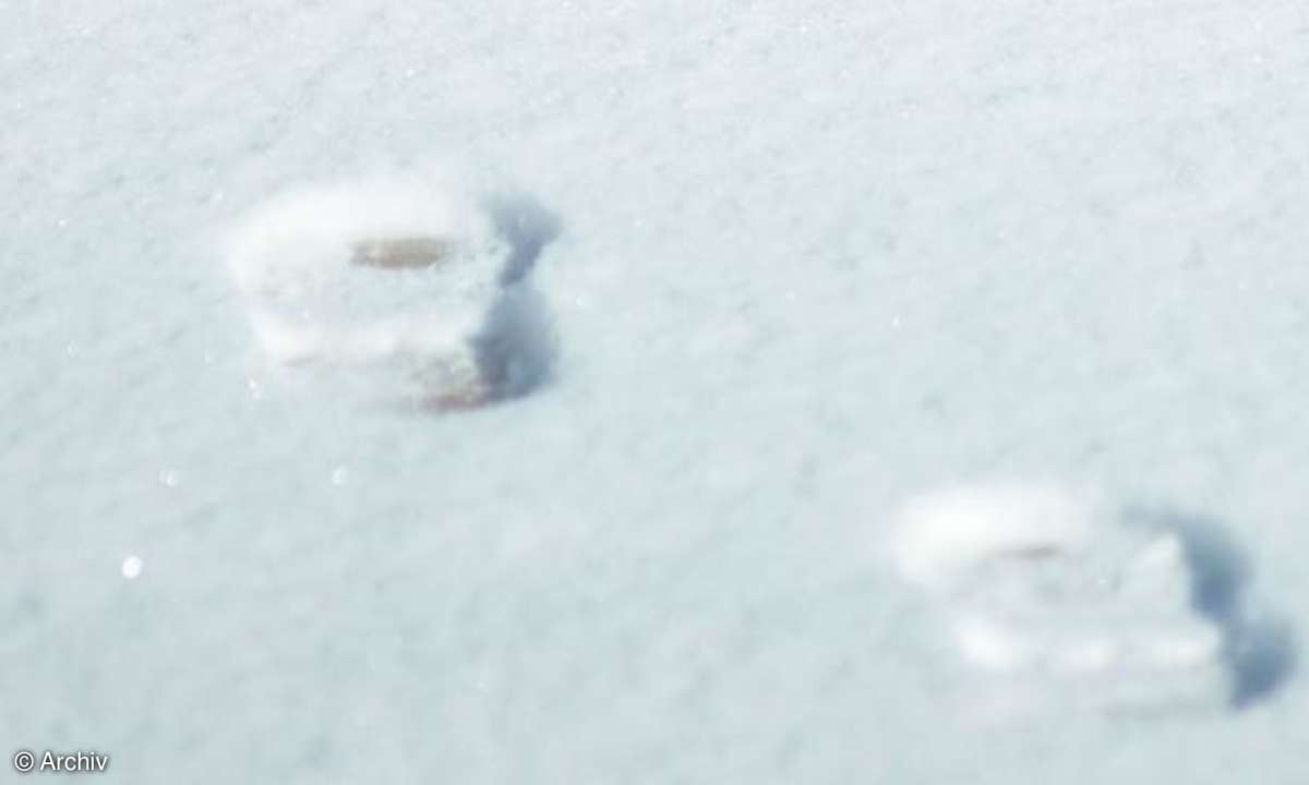 Spuren im Schnee
