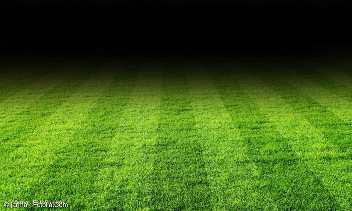 Die besten Sportspiele 2013