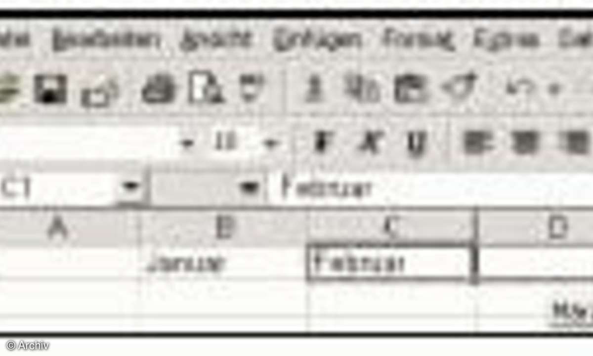 Excel: Ausgabenkontrolle