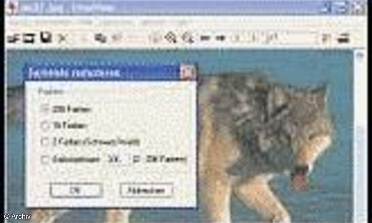 IrfanView: Bildbearbeitung