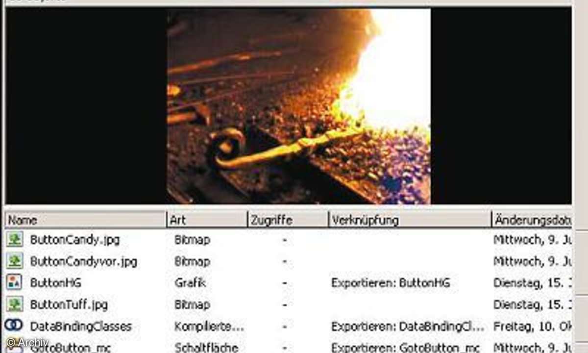 Professionell Präsentieren mit Flash MX