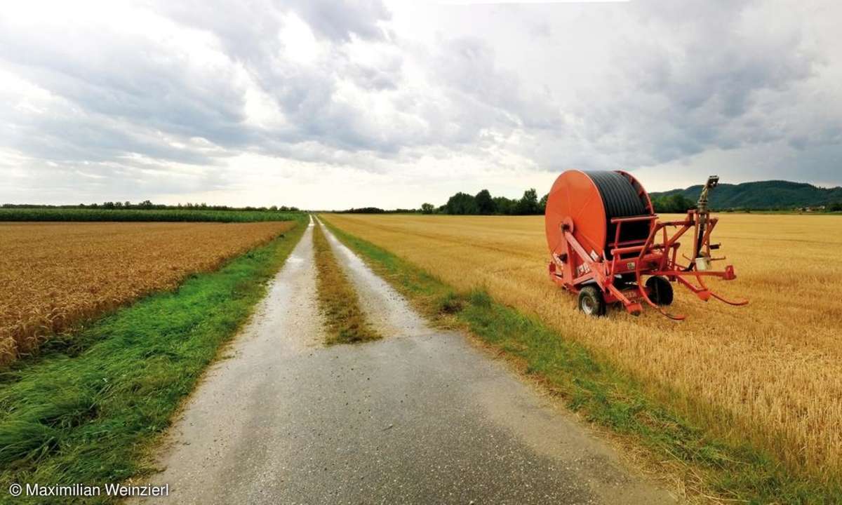 Freies Feld nach dem Regen