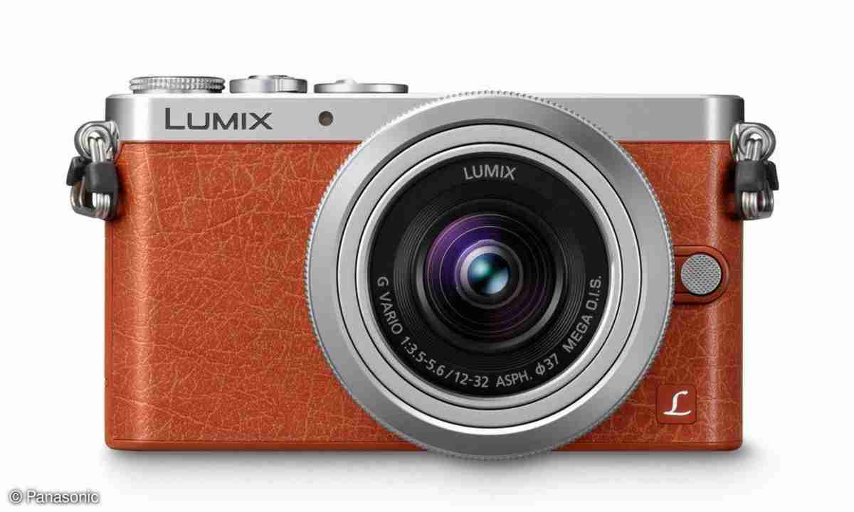 Panasonic Lumix GM1 im Test - connect-living