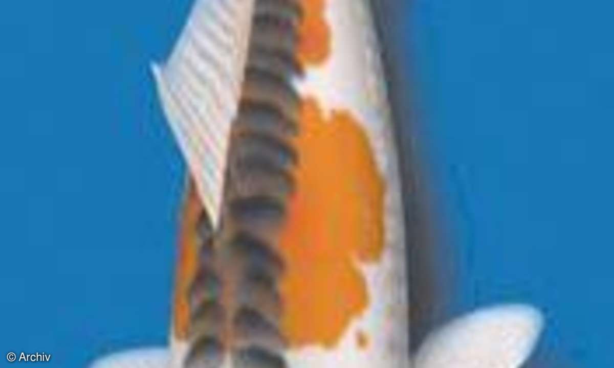 Bildschirmschoner: Koi-3D exklusiv 1.01