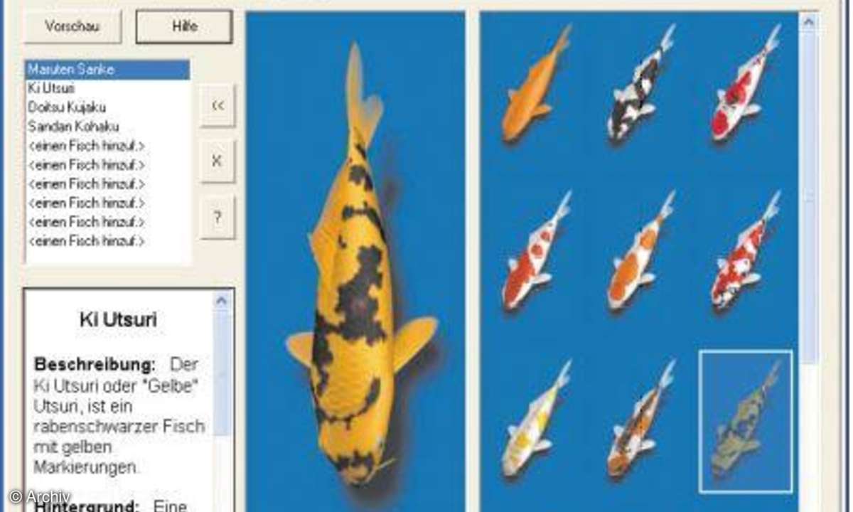 Bildschirmschoner: Koi-3D exklusiv 1.01