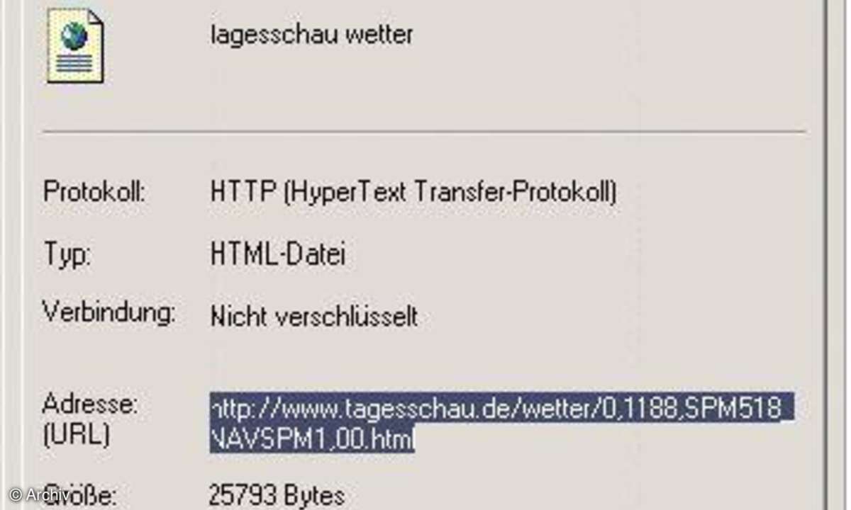 Webinhalte in Excel einfügen