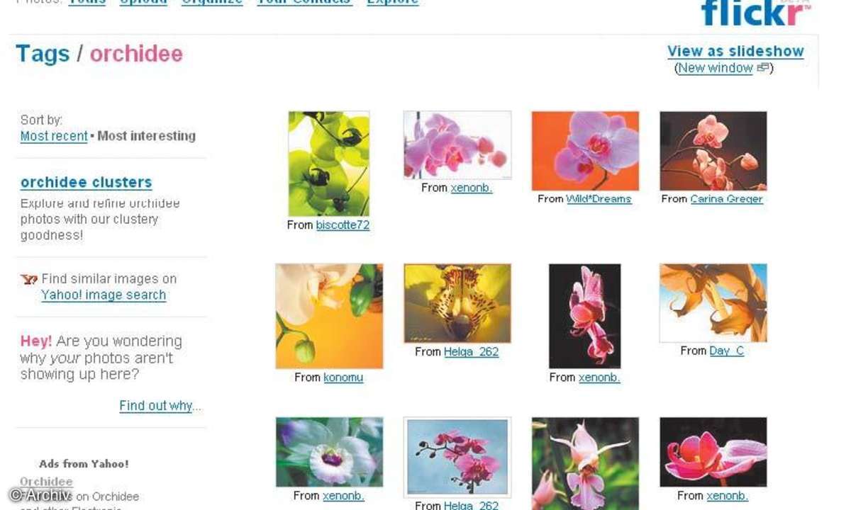 Foto-Communities im Web