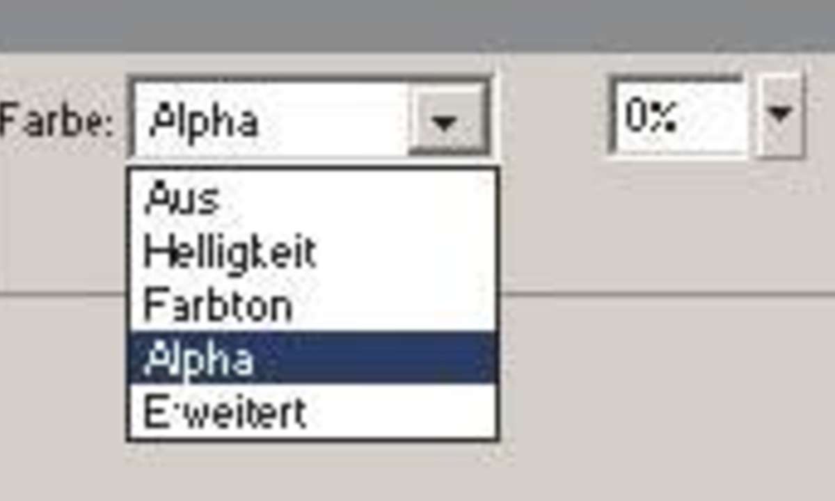 Flash 8: Animierte Bildergalerie