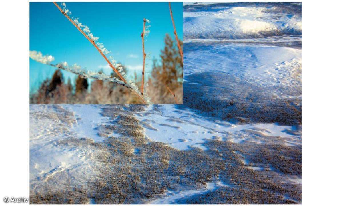 Fototipps, Winterbild, Nahaufnahmen