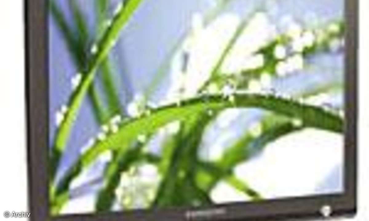 TFT-Displays: 19-Zoll-TFT: Marke gegen billig