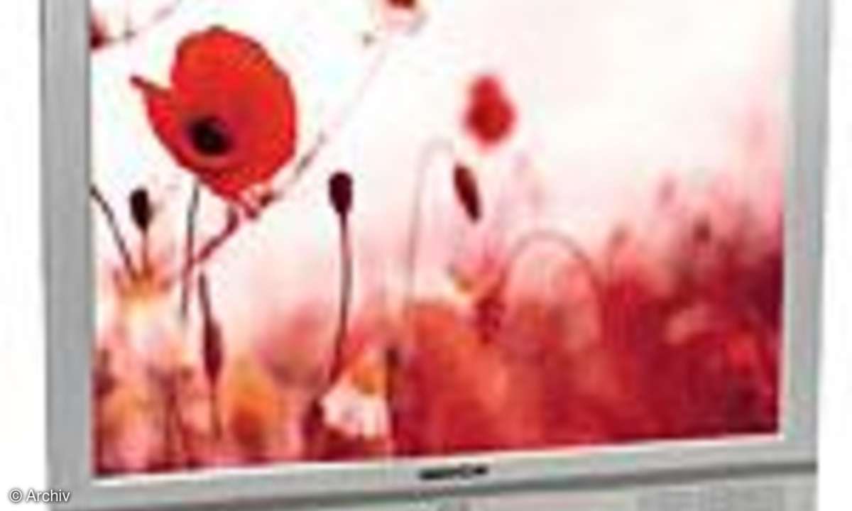 TFT-Displays: 19-Zoll-TFT: Marke gegen billig