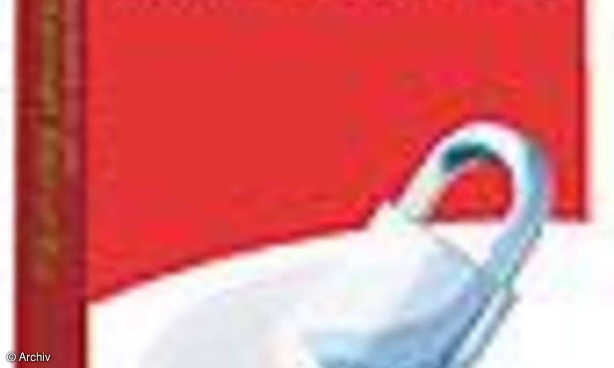 Sicherheitsprogramme: Nach allen Seiten