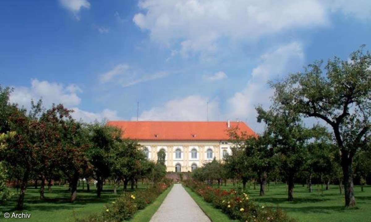 Perspektive