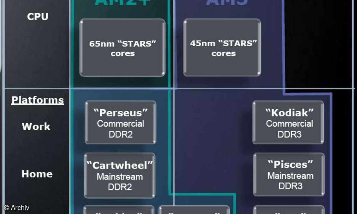 AMDs Dragon-Prozessor im Test