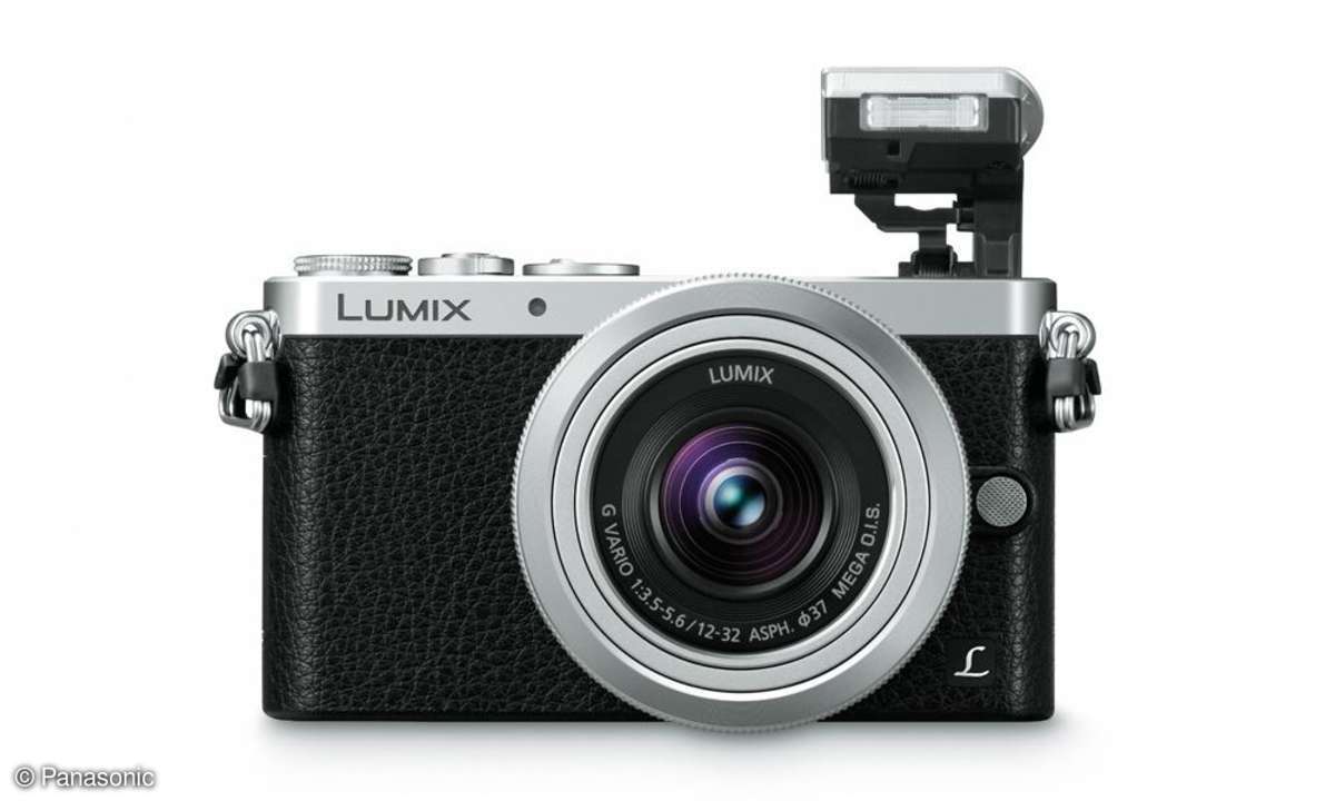 Panasonic Lumix GM1 - Blitz