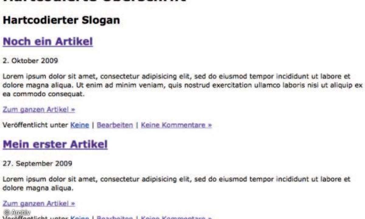 Wordpress Themes