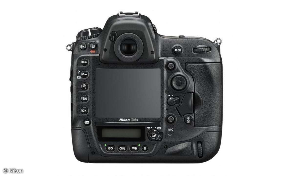 Nikon D4s Monitor