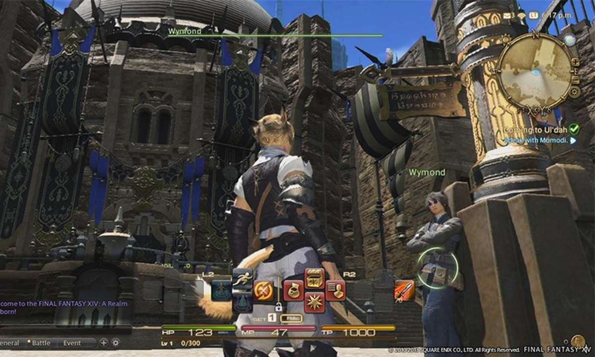 Final Fantasy 14 Online: A Realm Reborn (PC, PS4, PS3)