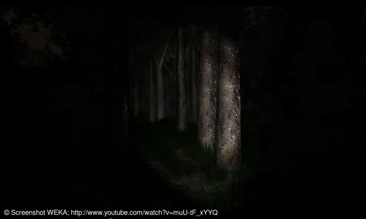 Slender: The Eight Pages